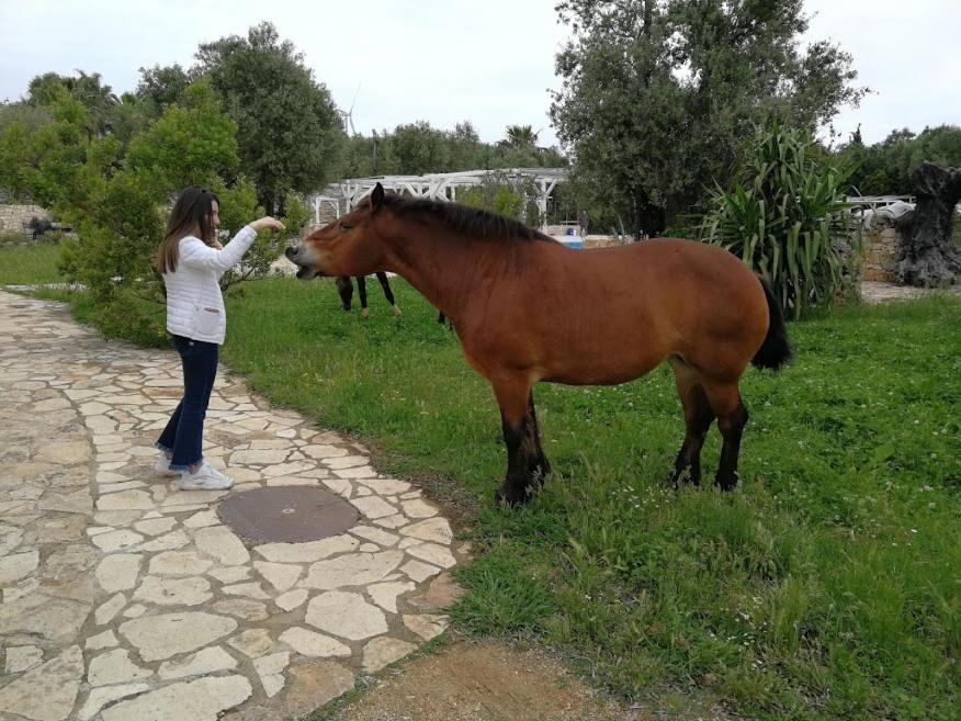 Masseria Sciaiani Piccola Villa Castelli Zewnętrze zdjęcie
