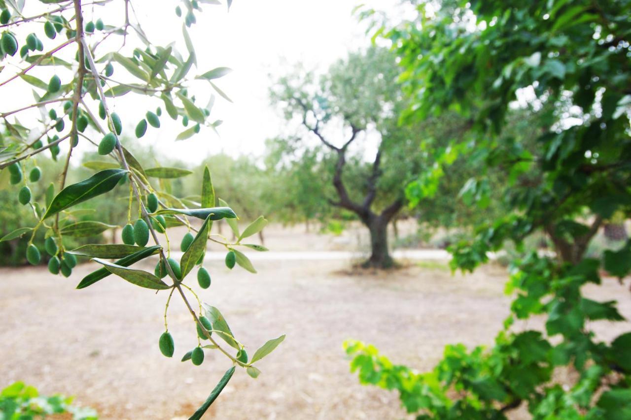 Masseria Sciaiani Piccola Villa Castelli Zewnętrze zdjęcie