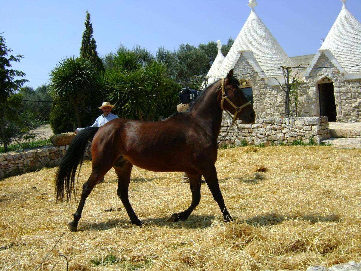 Masseria Sciaiani Piccola Villa Castelli Zewnętrze zdjęcie